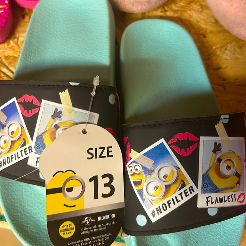 Minions slides